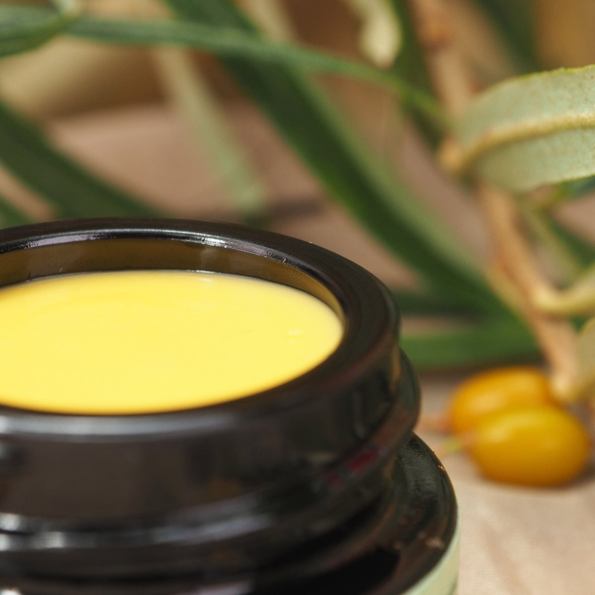 Sanddorn Creme