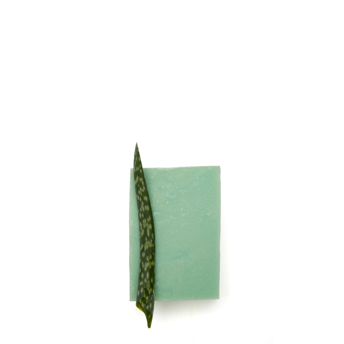 seife • dusch- und pflegeseife aloe vera