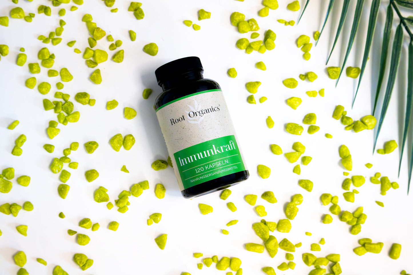 Immunkraft Kapseln