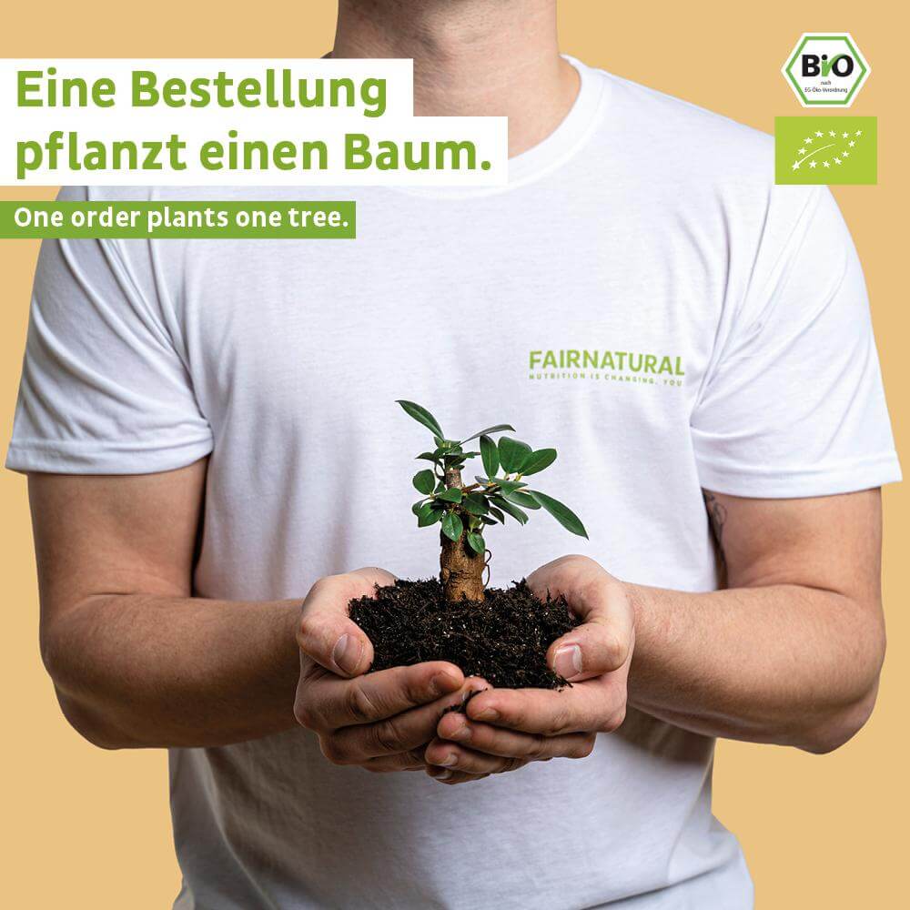 Bio Mushroom Kakao Pulver