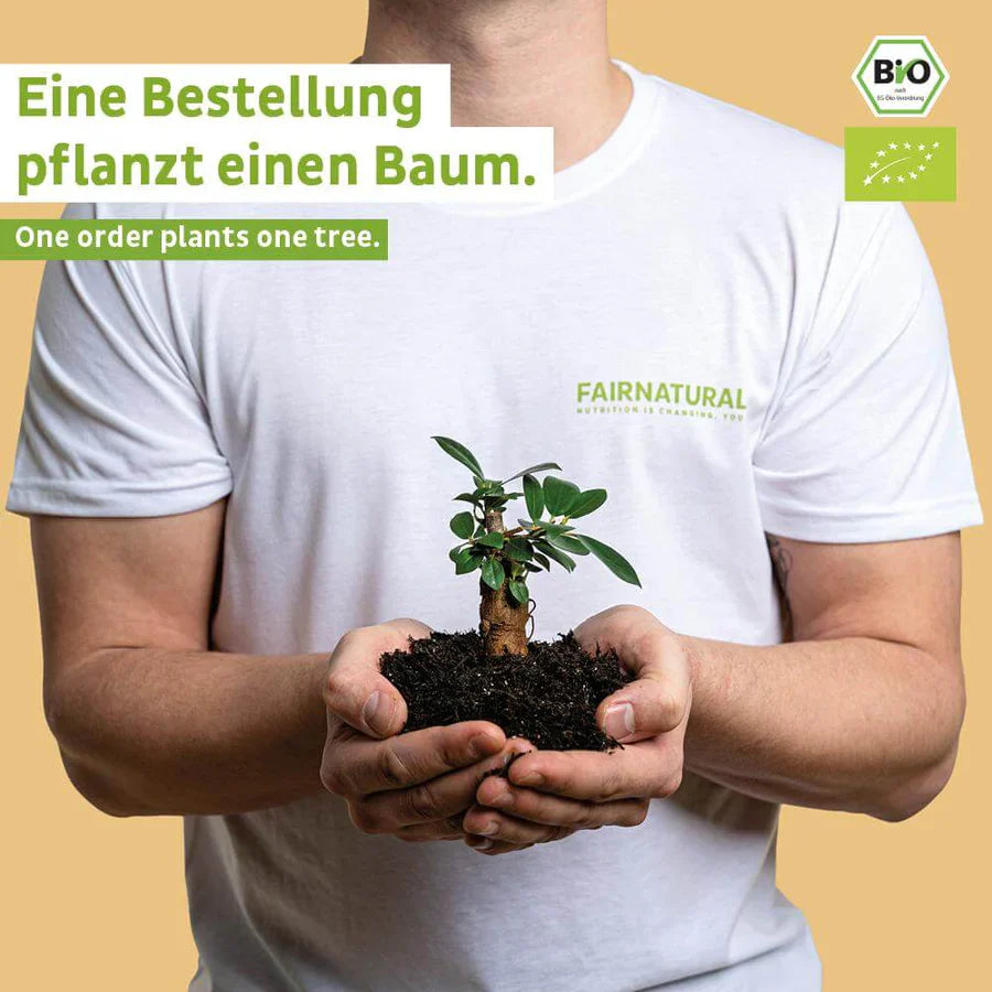 Bio Veganes Proteinpulver Banane ohne Soja