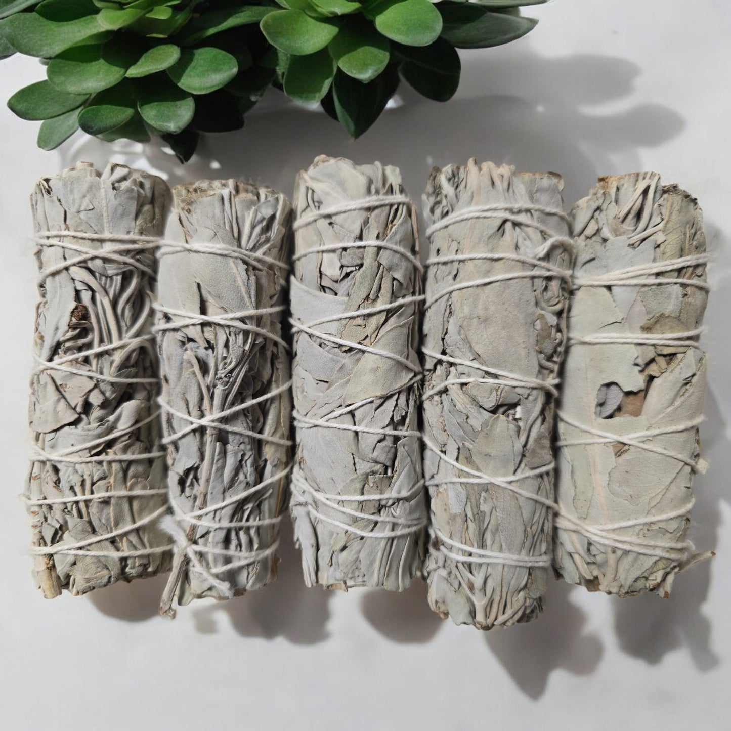 Räucherset "Natürliche Zeremonie" Weißer Salbei, 5 Smudge-Sticks