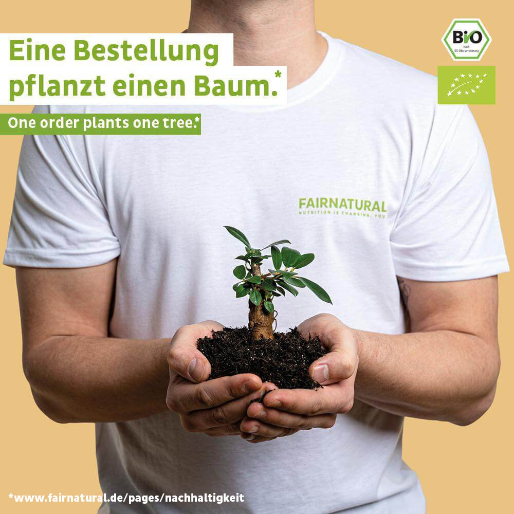 Vegan Omega 3 Kapseln aus Algen