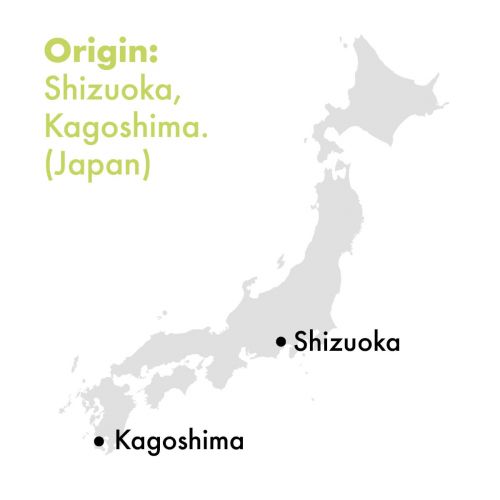 Grüner Tee - Japan Ceremonial Matcha Hisui